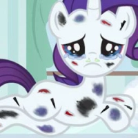 Fynsy's hospital Rarity